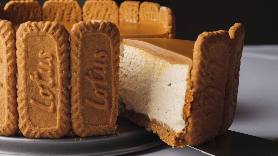 Easy No Bake Lotus Biscoff Cheesecake with cookie crust on a plate.
